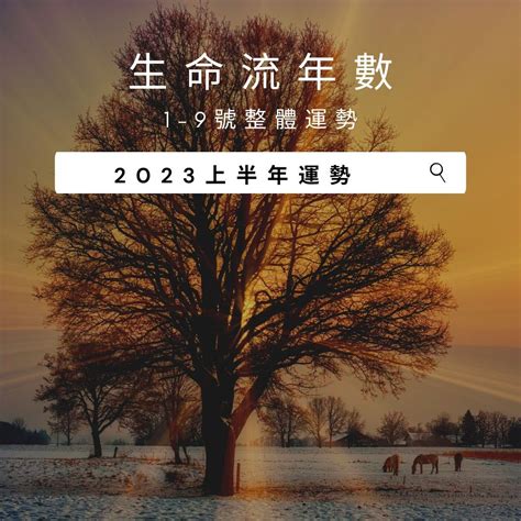 生命数字流年2023|2023生命流年數看整體運勢，找到年度幸運方向（含。